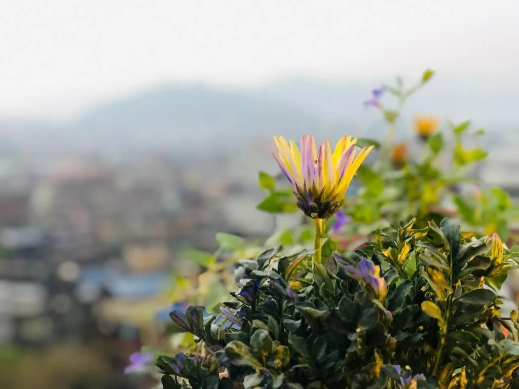 Hostel Yog Hostel- Rooftop Yoga & Backpacker Social Stay In Thamel, Kathamndu Kathmandu Nepal