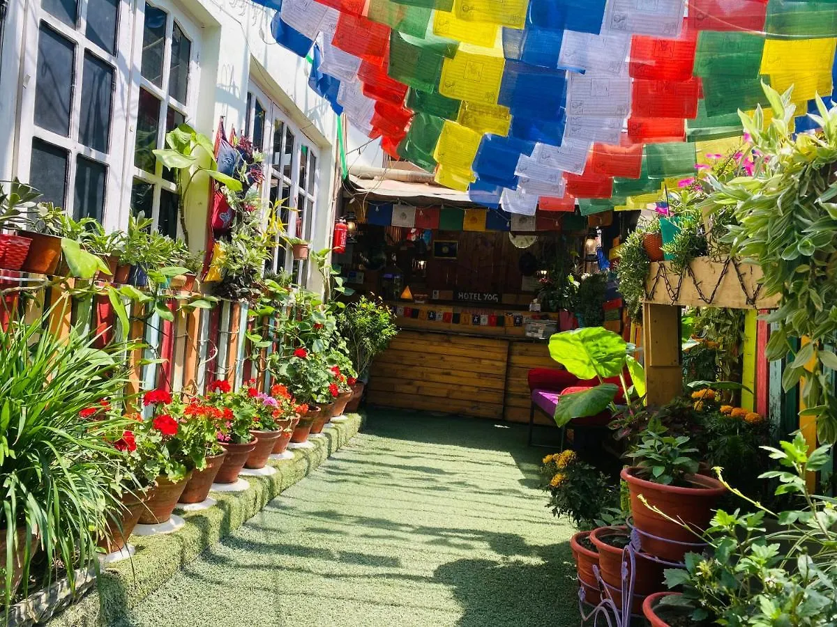 Yog Hostel 카트만두