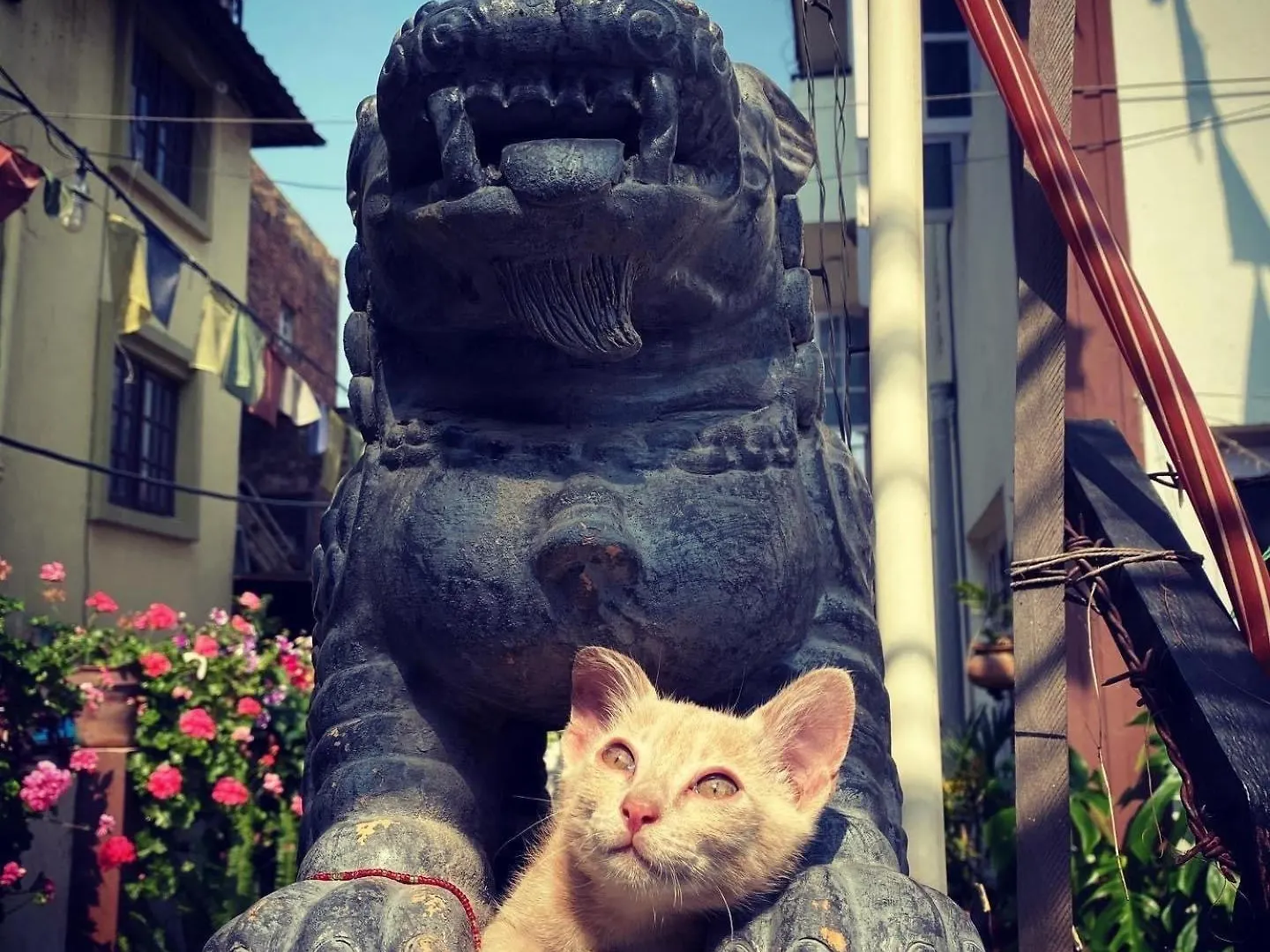 Yog Hostel- Rooftop Yoga & Backpacker Social Stay In Thamel, Kathamndu Kathmandu 0*,  Nepal